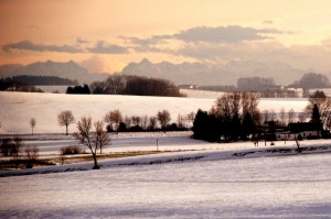 Winterbild 2011
